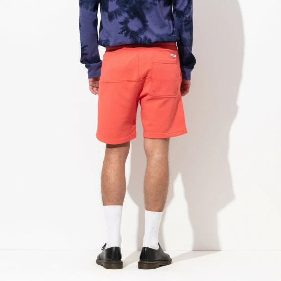 Banks Journal Big Bear Fleece Walkshort - Faded Rose Shorts 7 Banks Journal Big Bear Fleece Walkshort - Faded Rose Shorts - Image 5