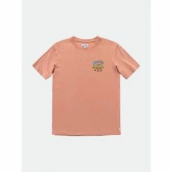 Alternative view of Banks Journal Slice Faded Tee Shirt T-Shirts Rose Tan