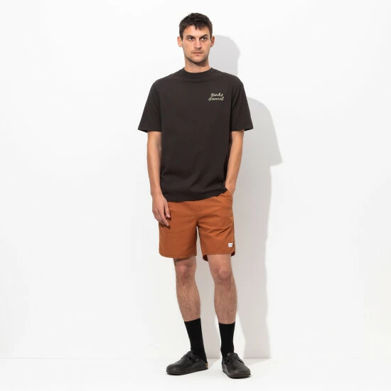 Banks Journal Pathway Walkshort - Dark Amber Shorts 9 Banks Journal Pathway Walkshort - Dark Amber Shorts - Image 7
